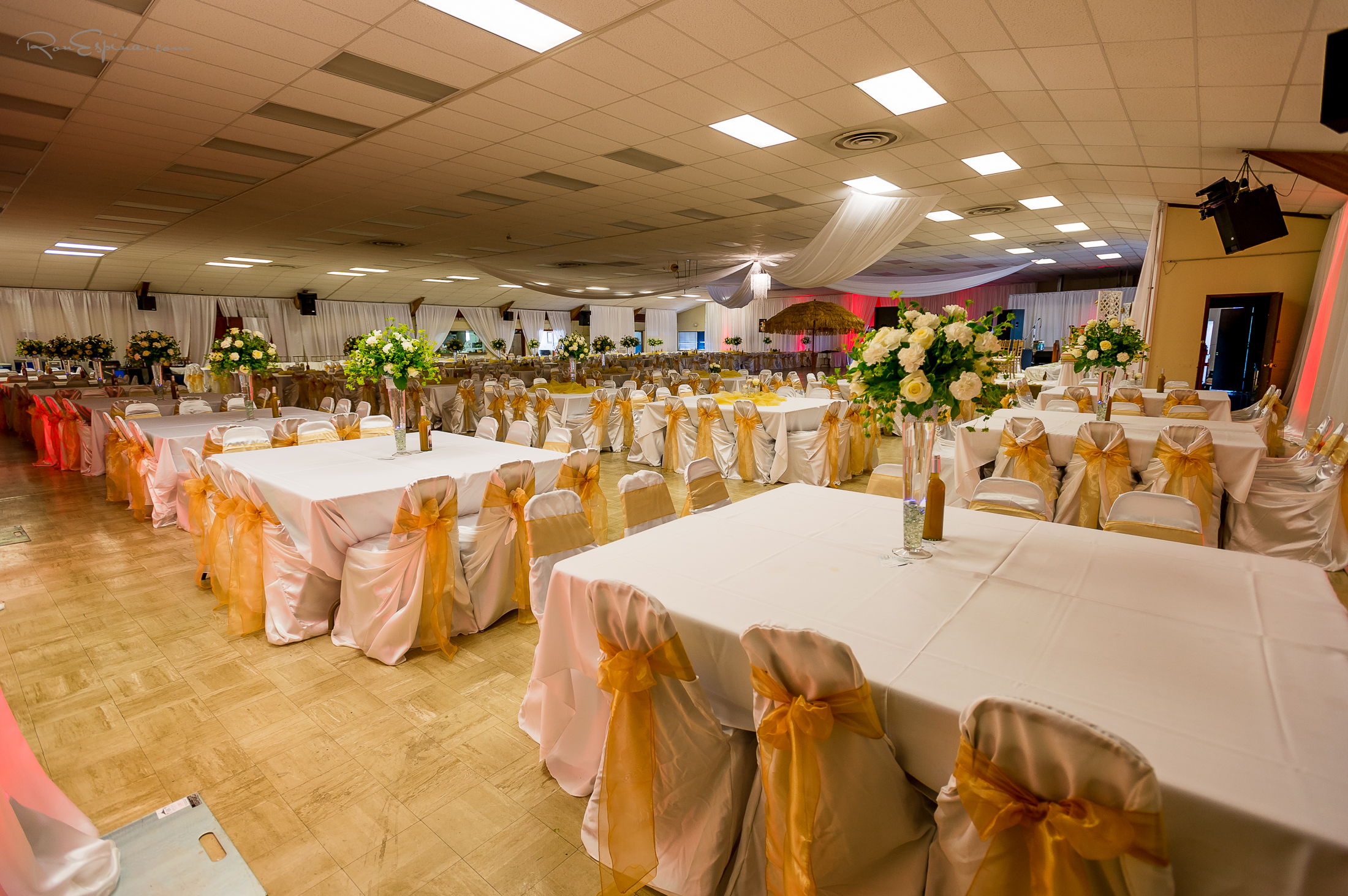 habesha weddings ronespina.com Habesha weddings by ronespina.com #HabeshaWedding#ronespina.com Habesha Bride #Habesha Bride